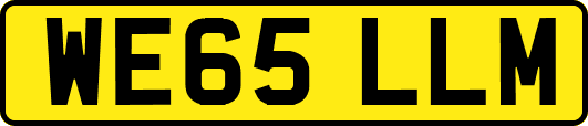WE65LLM