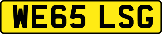 WE65LSG