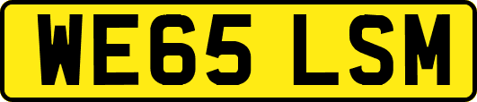 WE65LSM