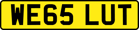 WE65LUT