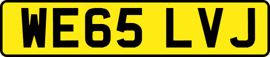 WE65LVJ