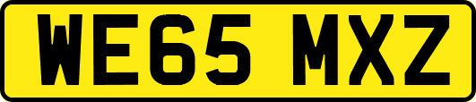 WE65MXZ