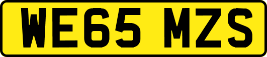 WE65MZS