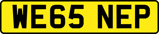 WE65NEP