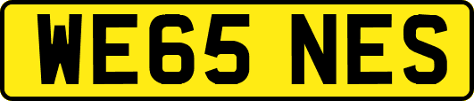 WE65NES