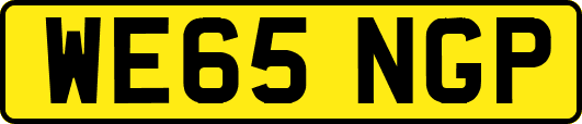 WE65NGP