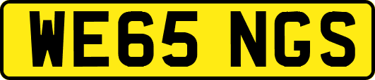 WE65NGS