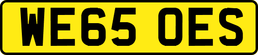 WE65OES