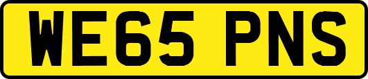 WE65PNS