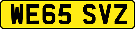 WE65SVZ