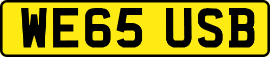 WE65USB