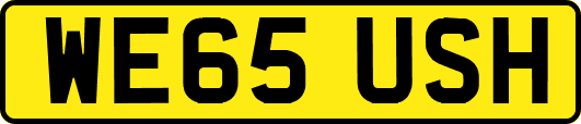 WE65USH