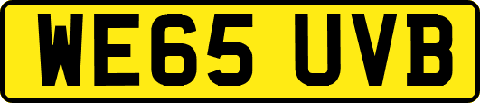 WE65UVB