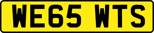 WE65WTS