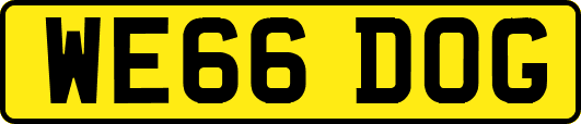 WE66DOG