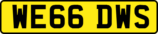 WE66DWS