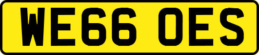 WE66OES