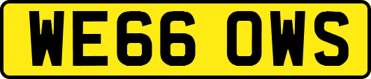 WE66OWS