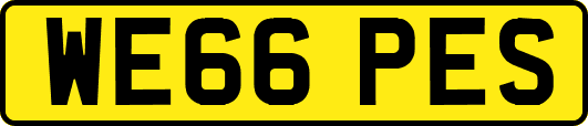 WE66PES