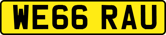 WE66RAU