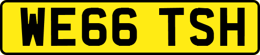 WE66TSH