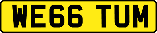 WE66TUM