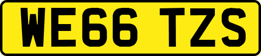 WE66TZS
