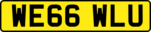 WE66WLU
