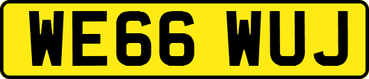 WE66WUJ