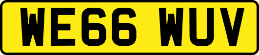 WE66WUV