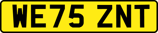 WE75ZNT