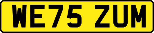 WE75ZUM