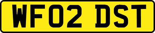 WF02DST