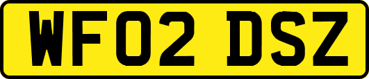 WF02DSZ