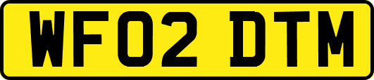 WF02DTM