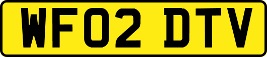 WF02DTV