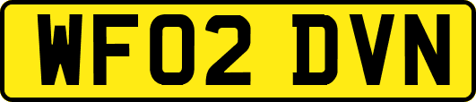 WF02DVN