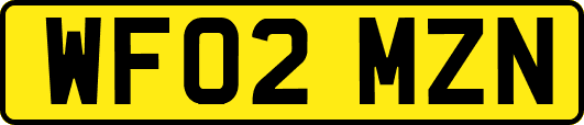 WF02MZN