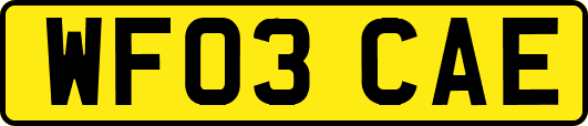 WF03CAE