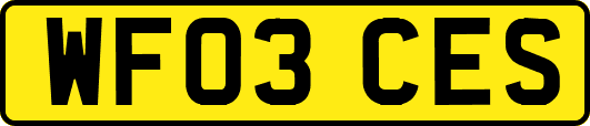 WF03CES