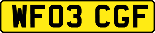 WF03CGF