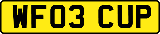 WF03CUP