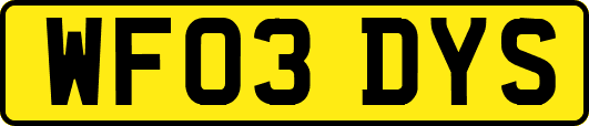 WF03DYS