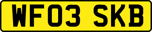 WF03SKB