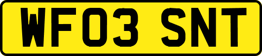 WF03SNT