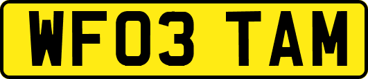 WF03TAM