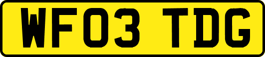 WF03TDG