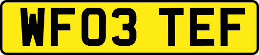 WF03TEF