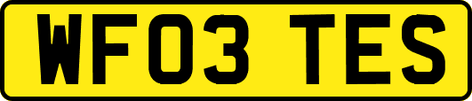 WF03TES
