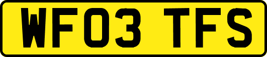 WF03TFS